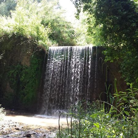 La Rosa Dei Venti Panzió Zambrone Kültér fotó